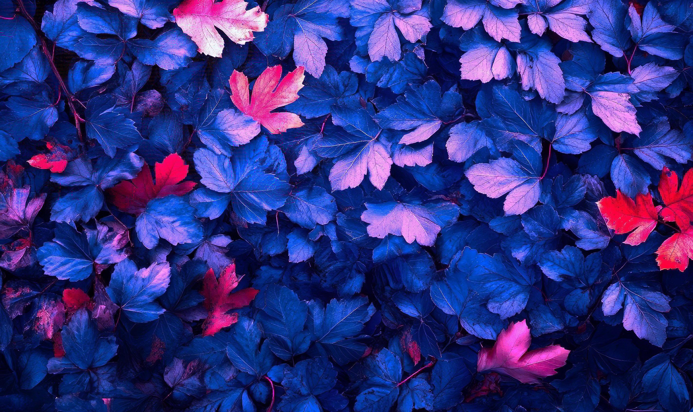 AdobeStock_1010803507 copia